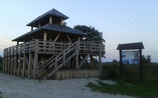 13_Kniaupo +lankos ap+valgos bok+telis.jpg